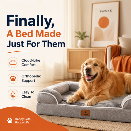 Pawkk Orthopedic Dog Bed