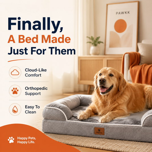 Pawkk Orthopedic Dog Bed