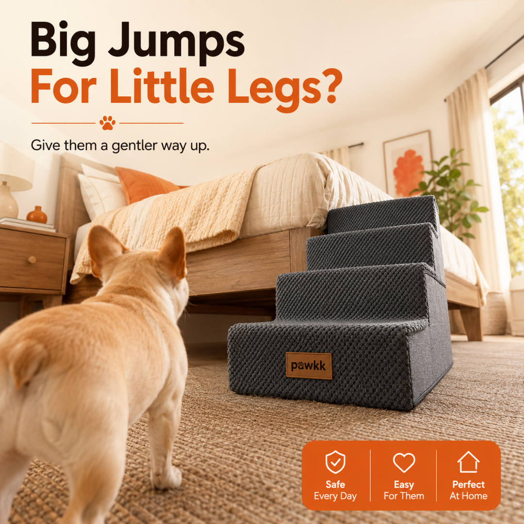Pawkk Pet Stairs