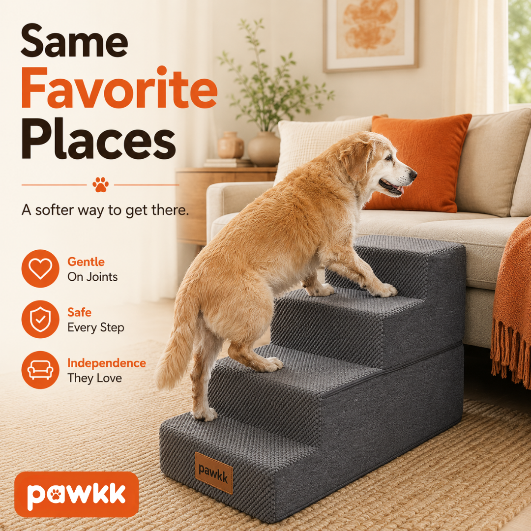 Pawkk Pet Stairs
