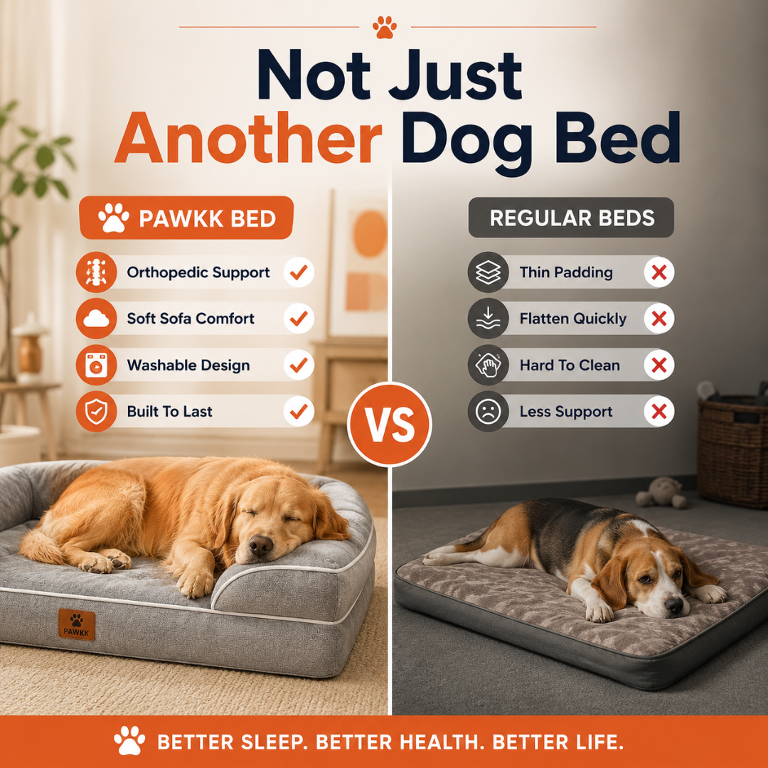 Pawkk Orthopedic Dog Bed