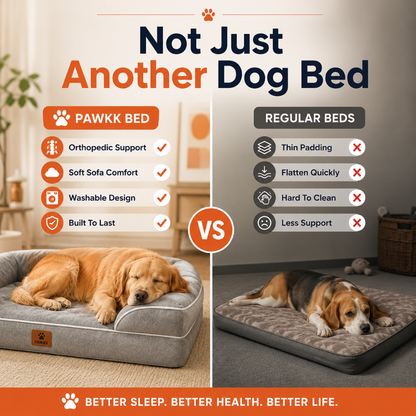 Pawkk Orthopedic Dog Bed