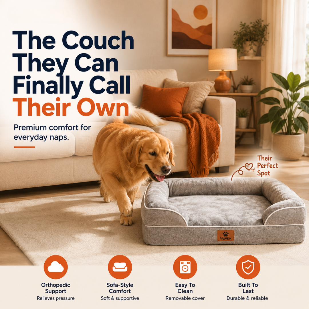 Pawkk Orthopedic Dog Bed