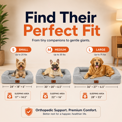 Pawkk Orthopedic Dog Bed